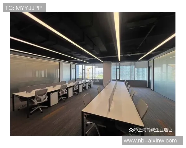 南京飞盘队的运营体系与战术创新探索之路